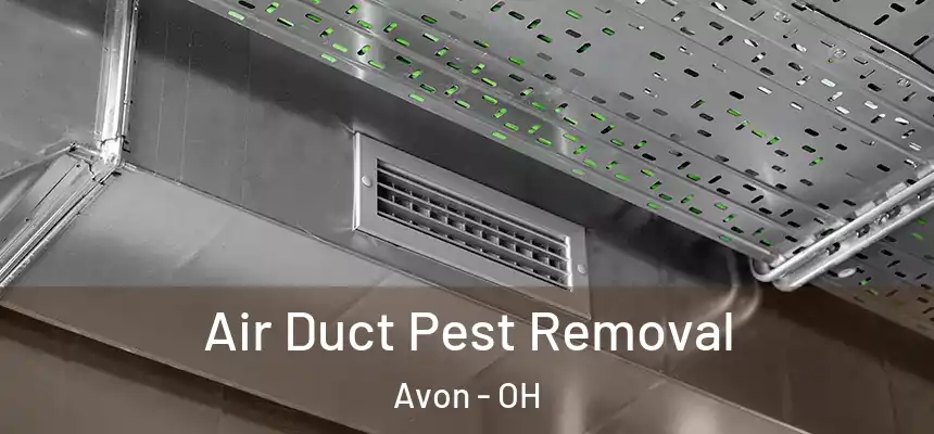 Air Duct Pest Removal Avon - OH