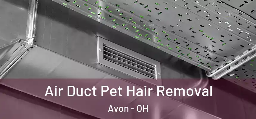 Air Duct Pet Hair Removal Avon - OH