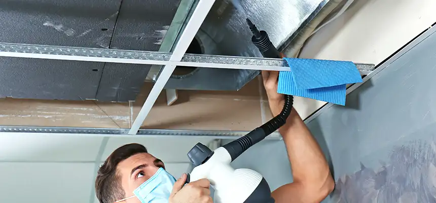 Our Air Duct Rodent Removal Services in Avon, OH