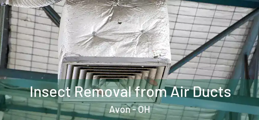 Insect Removal from Air Ducts Avon - OH