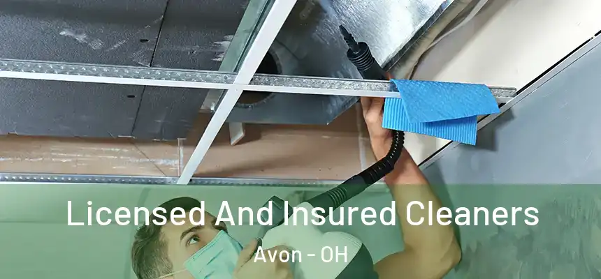 Licensed And Insured Cleaners Avon - OH