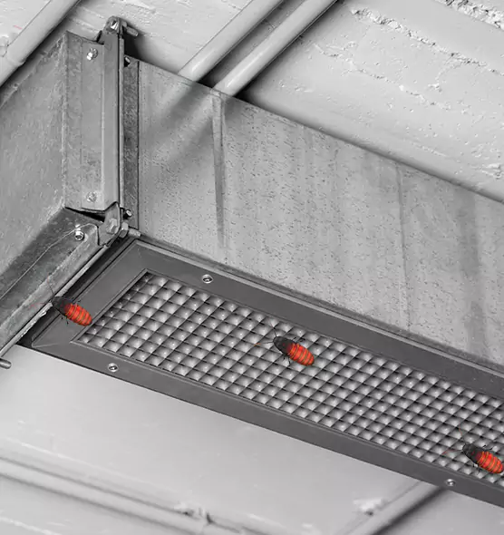 About Air Duct Cockroach Removal in Avon, OH