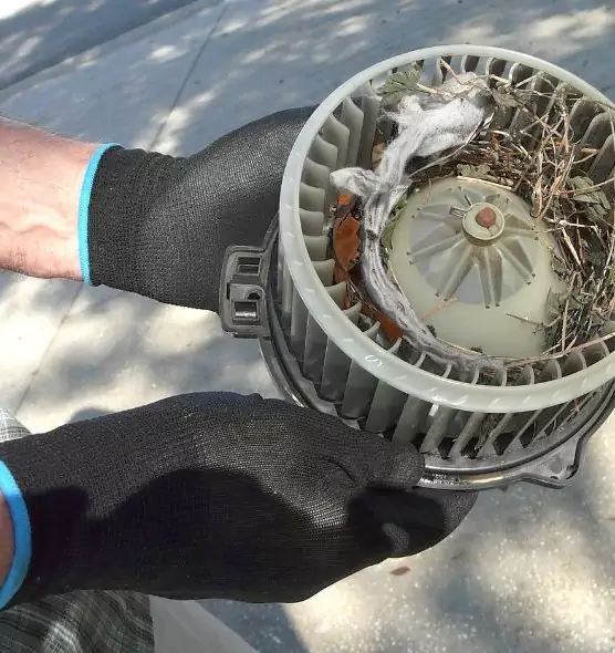 About Air Duct Rat Removal in Avon, OH