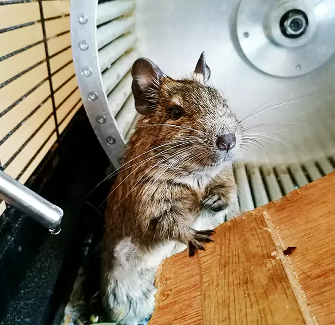 Why Homeowners & Businesses Trust Us Avon, OH